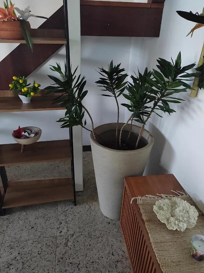 Villa Bonita Praia Пальоса
